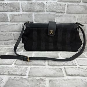 Clōe Beyond Fashion Women's Black Strip Crossbody Adjustable Purse Bag